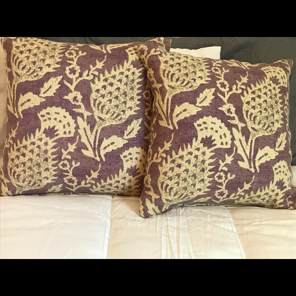 Throw Pillow (Cases Only)